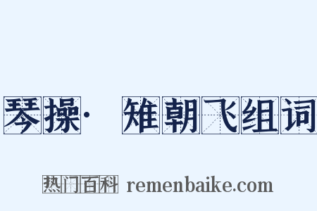琴操·雉朝飞组词是什么意思的图片